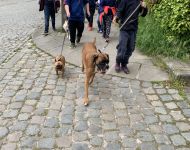 IMG 4330
