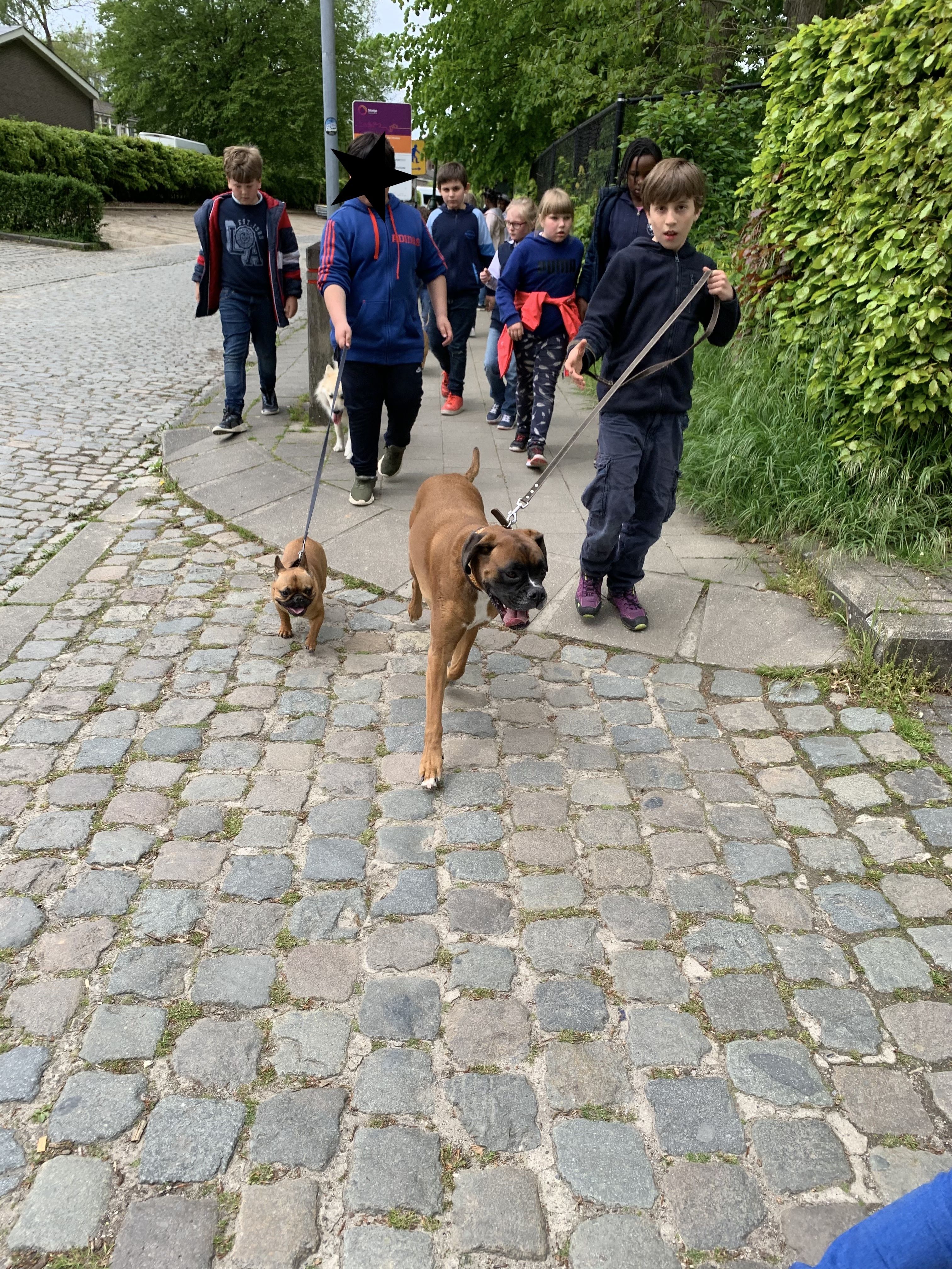 IMG 4330