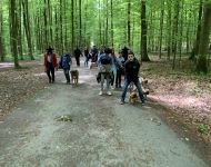 IMG 4442