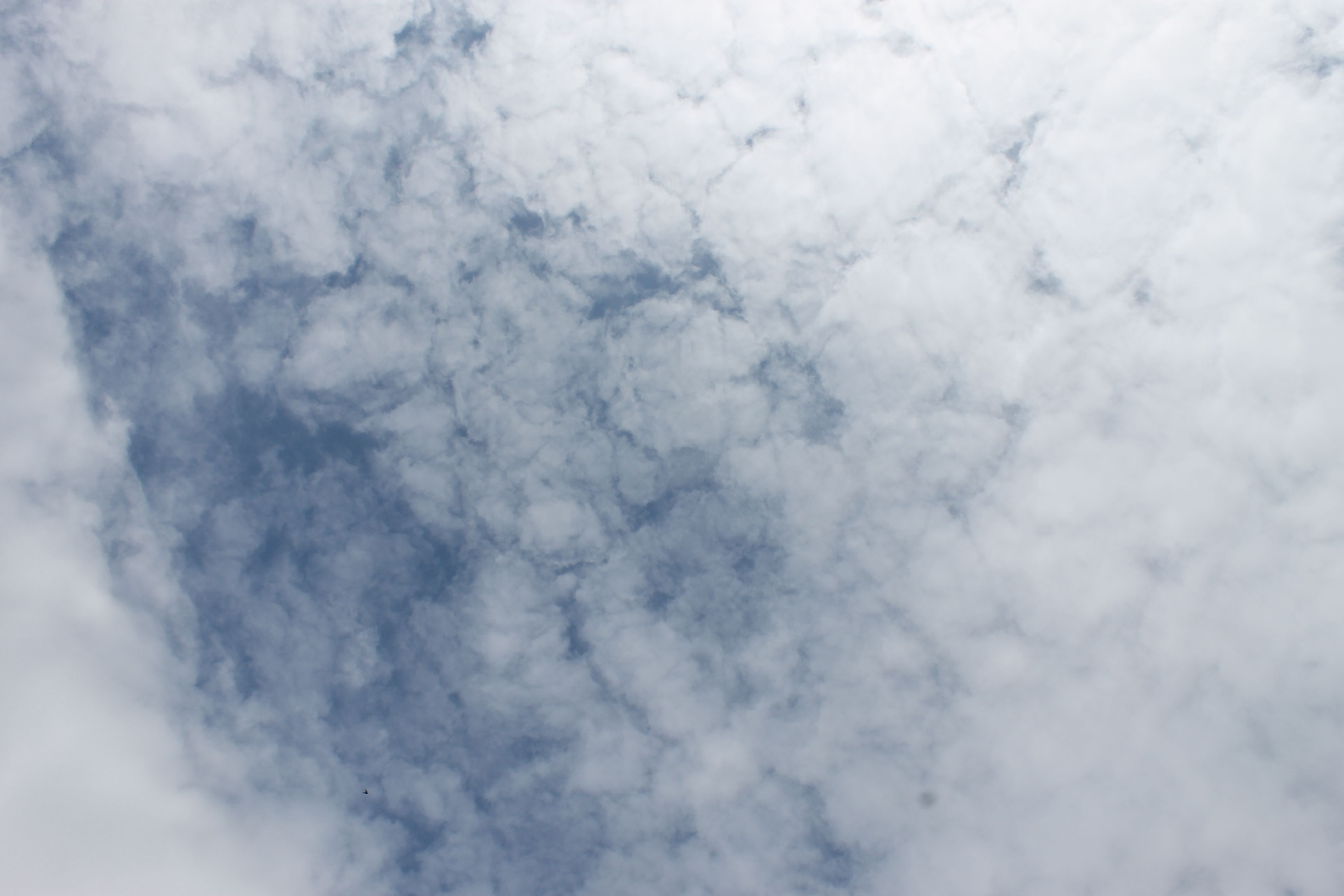 ouf, un coin de ciel bleu