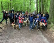 IMG 4334