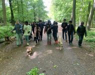 IMG 4378