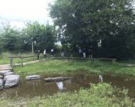 IMG 7827