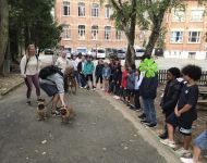IMG 7860