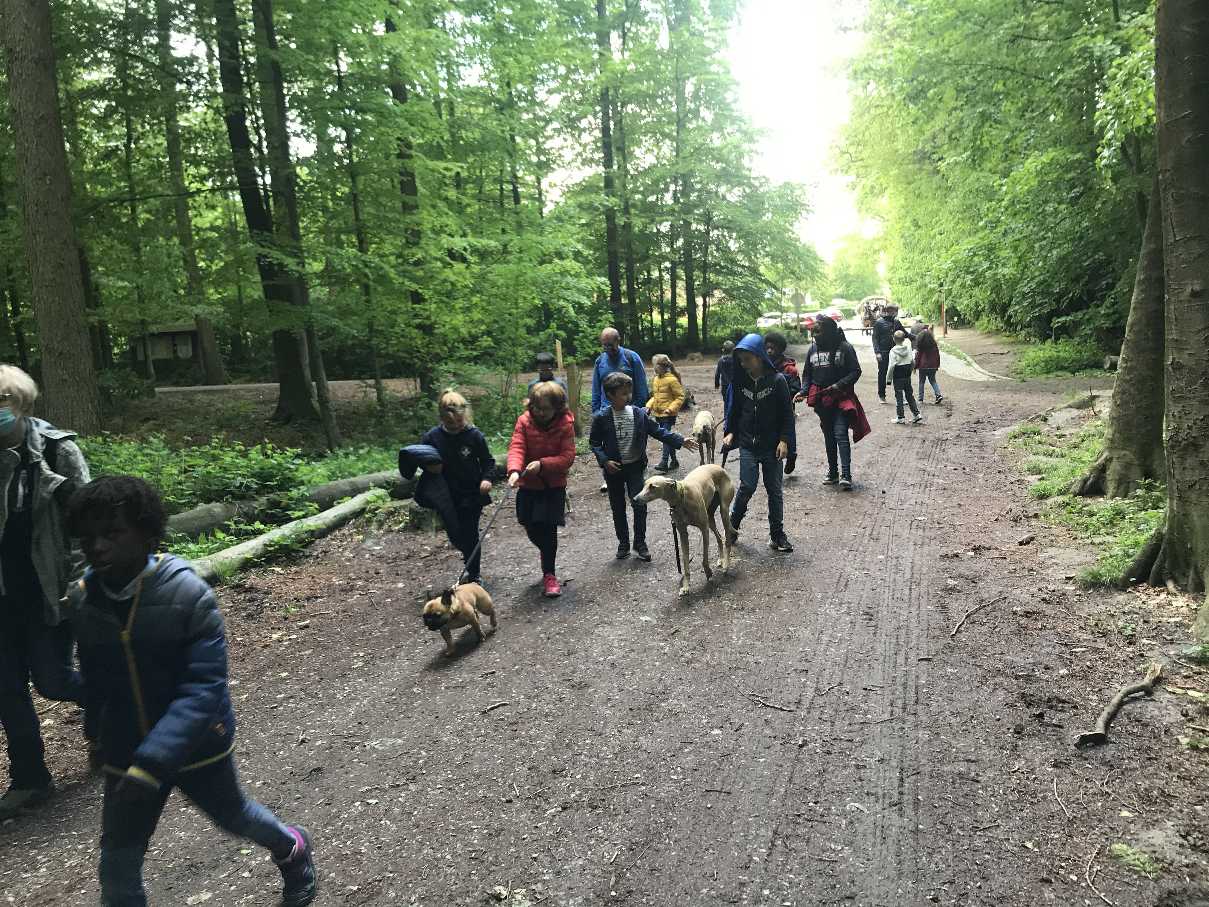 IMG 3833