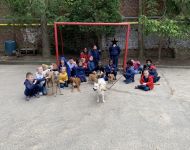 IMG 4427