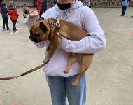 IMG 4374