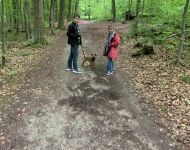 IMG 4338